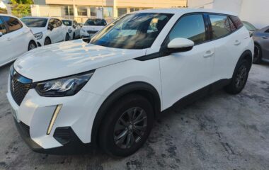 Peugeot 2008  1.5 BlueHDi 100ch E6.c Active Business S&S